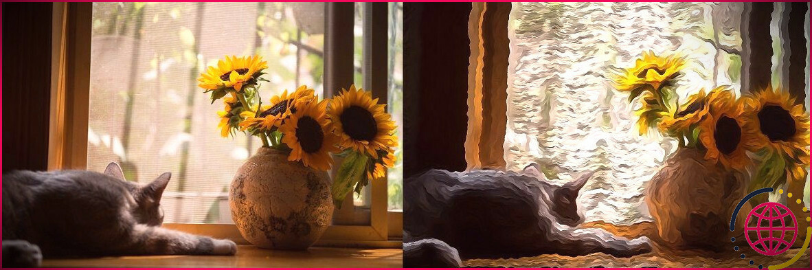 chat et fleurs - avant et après