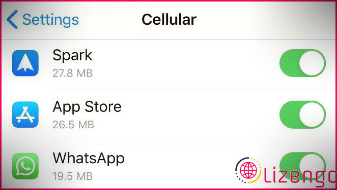 Paramètres cellulaires avec App Store activé