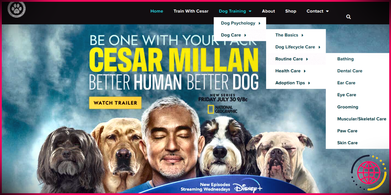 Ressources de dressage de chiens sur le site Web de CesarsWay