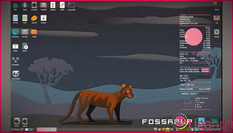 Une capture d'écran de Puppy Linux Distro