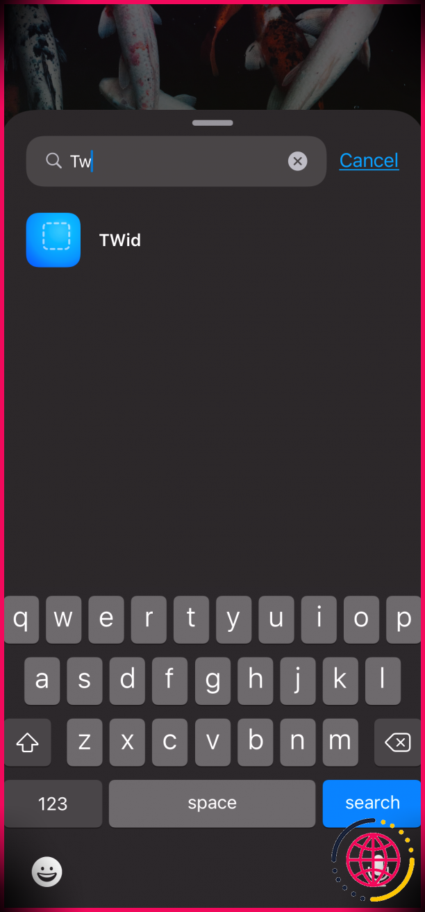 TWid ajoute un widget invisible à l'écran d'accueil de l'iPhone
