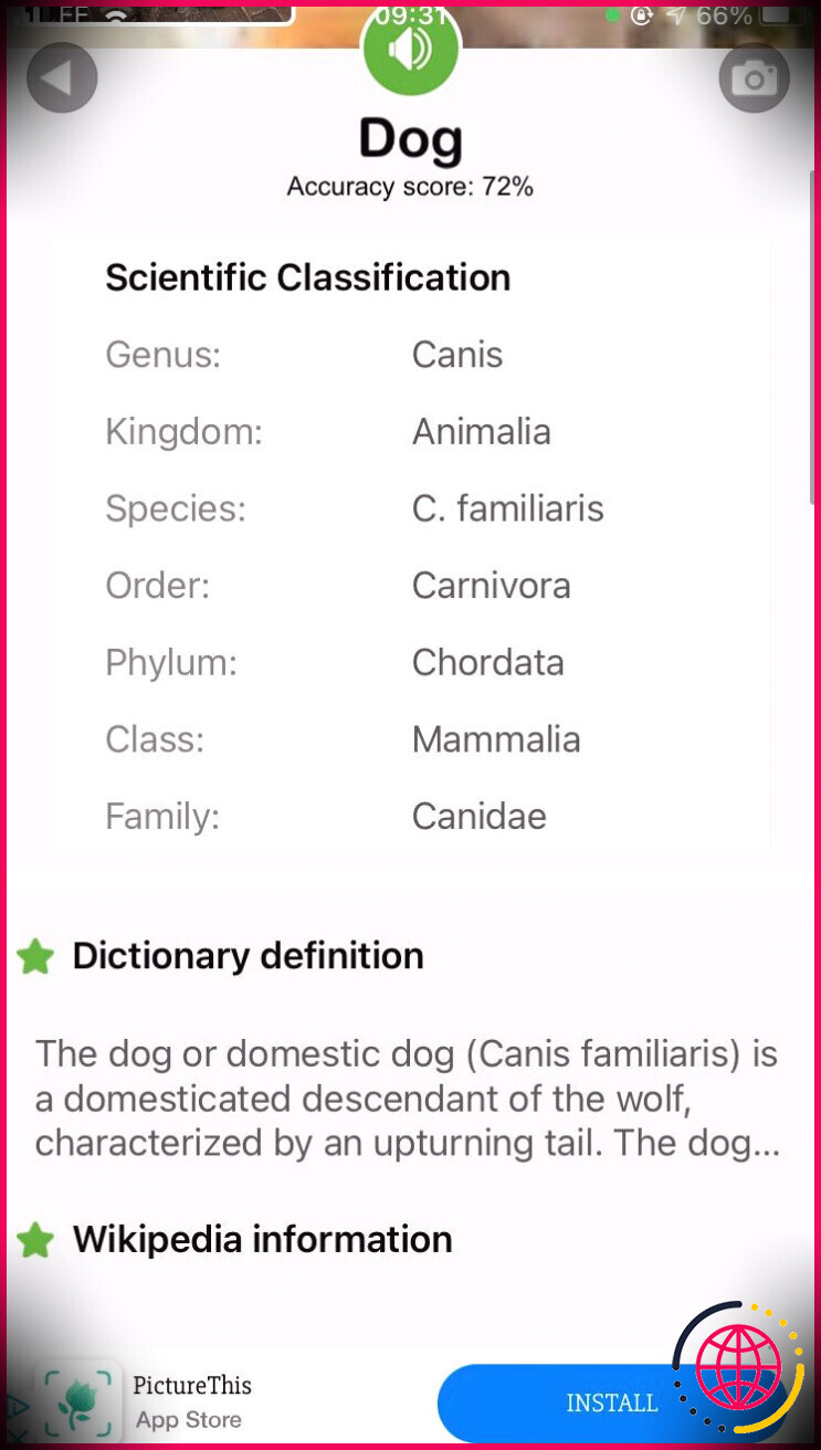 Champs de classification scientifique pour les espèces de chiens sur l'application Smart Identifier.