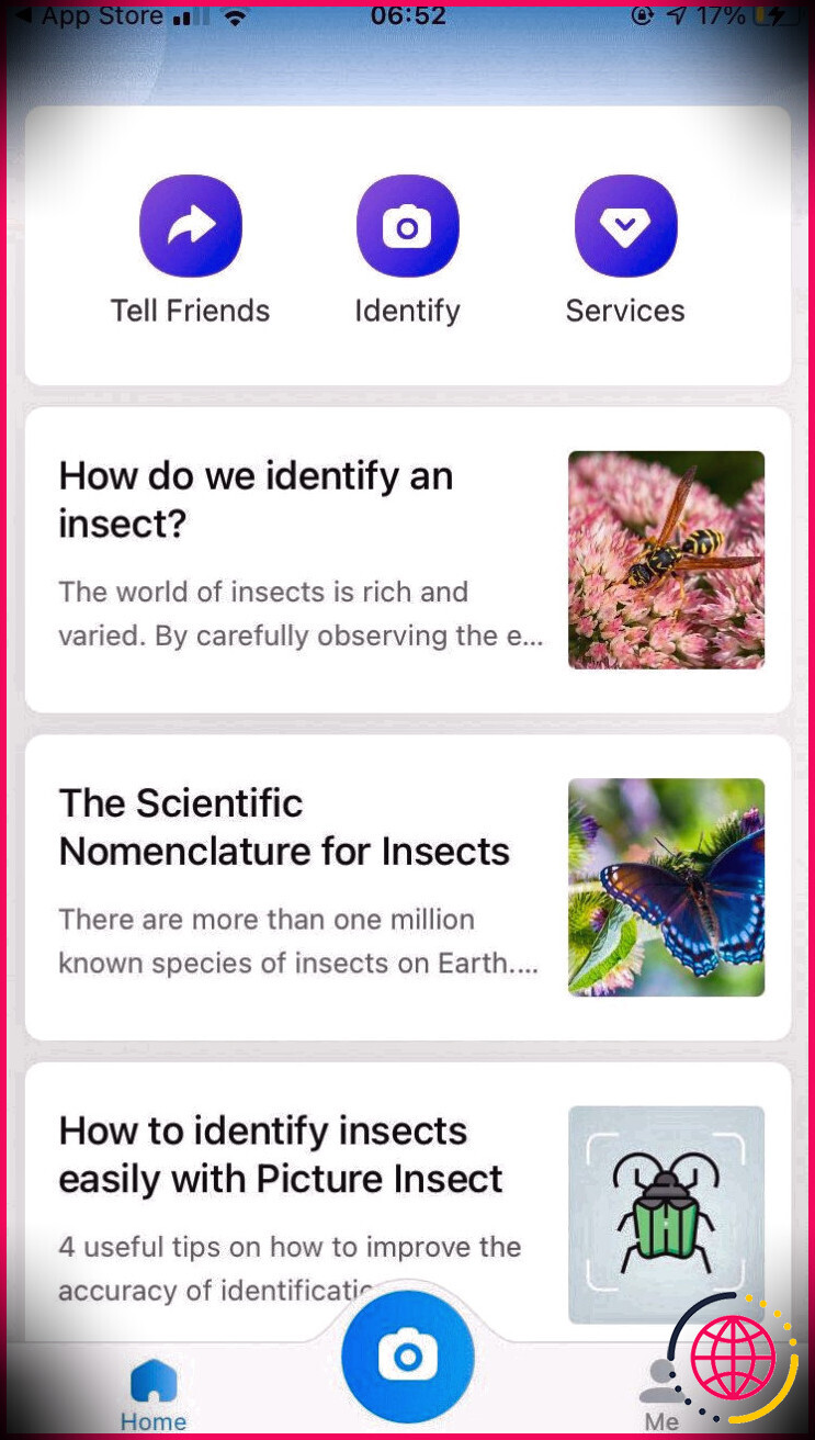 Capture d'écran des aperçus des bulletins d'information sur l'application Picture Insect.