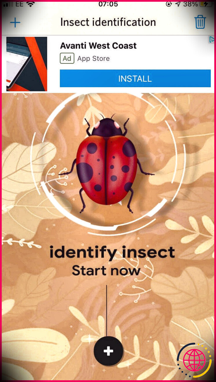Image d'une coccinelle sur l'écran d'accueil de l'application d'identification des insectes.