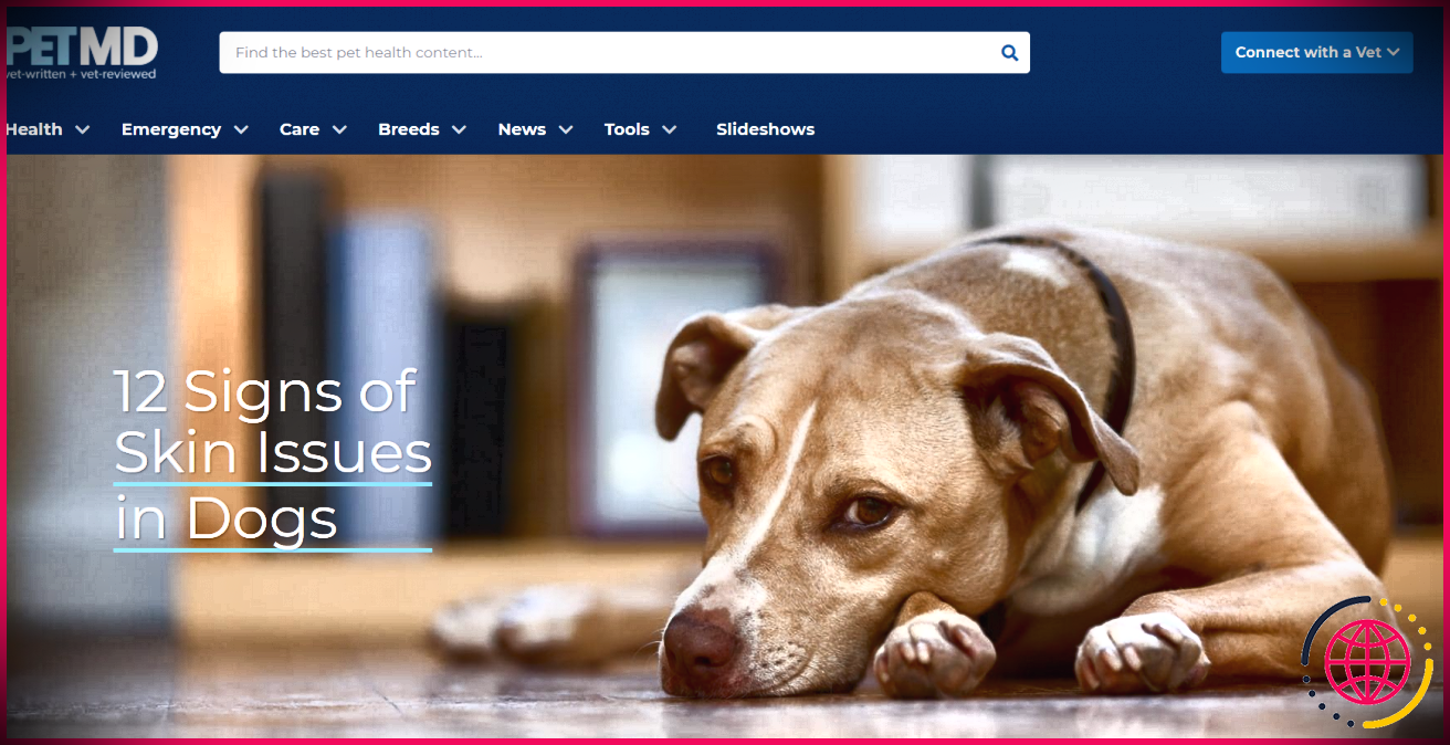 Site Web PetMD pour les soins de santé des animaux de compagnie