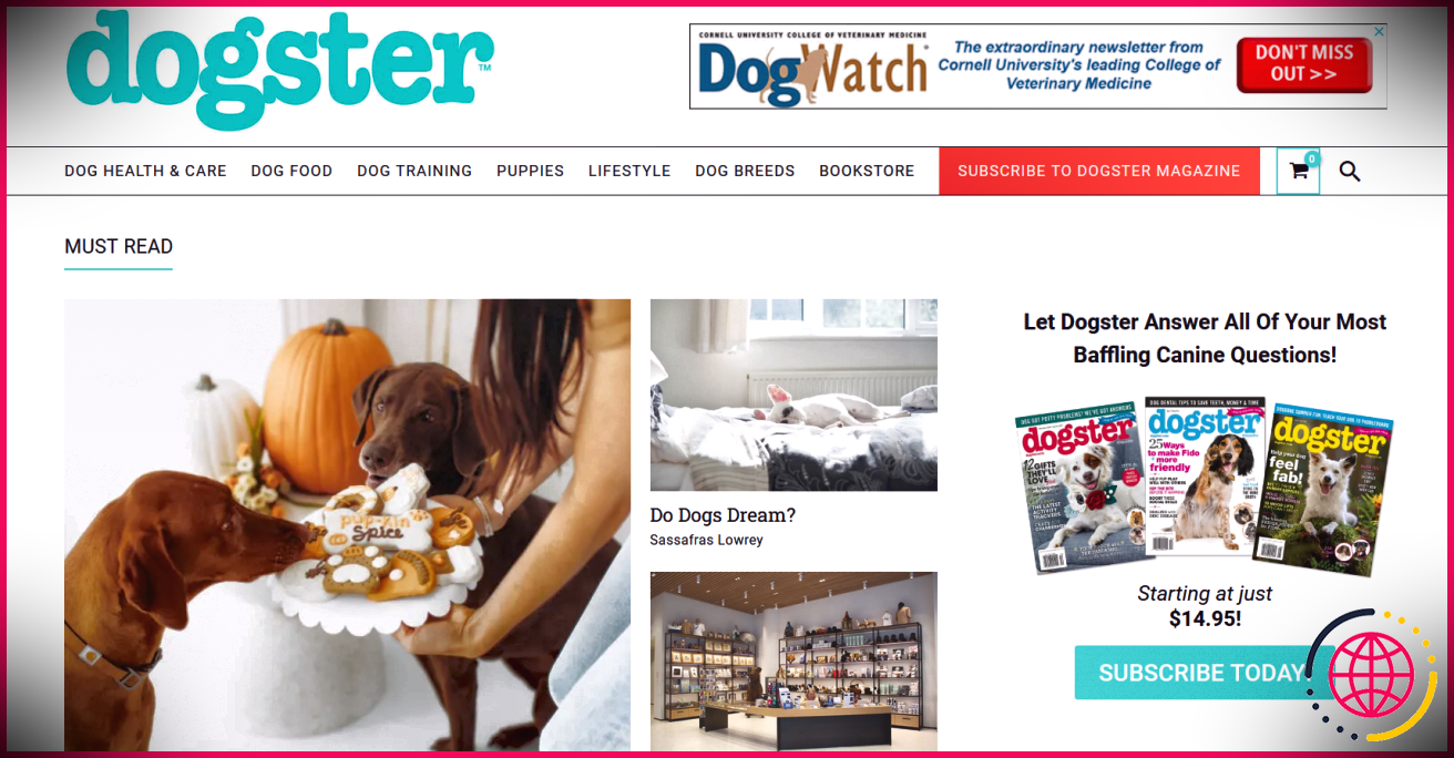 Site Dogster pour les propriétaires de chiens