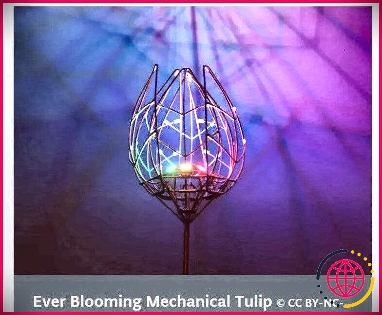 tulipe-mécanique-toujours-fleurie-1