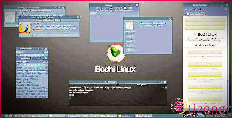 Une capture d'écran de la distribution Bodhi Linux
