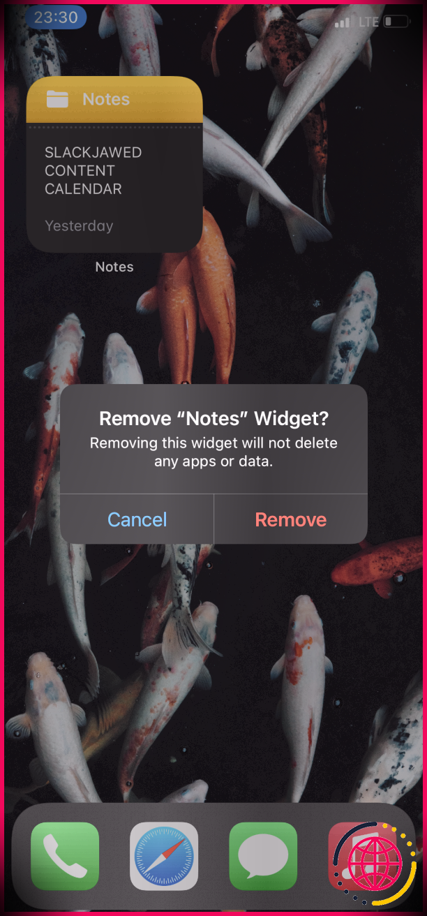Suppression du widget iPhone de l'écran d'accueil