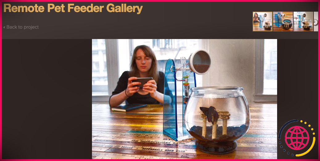 Une capture d'écran montrant une image d'une femme assise derrière une mangeoire à poissons et un bocal à poissons