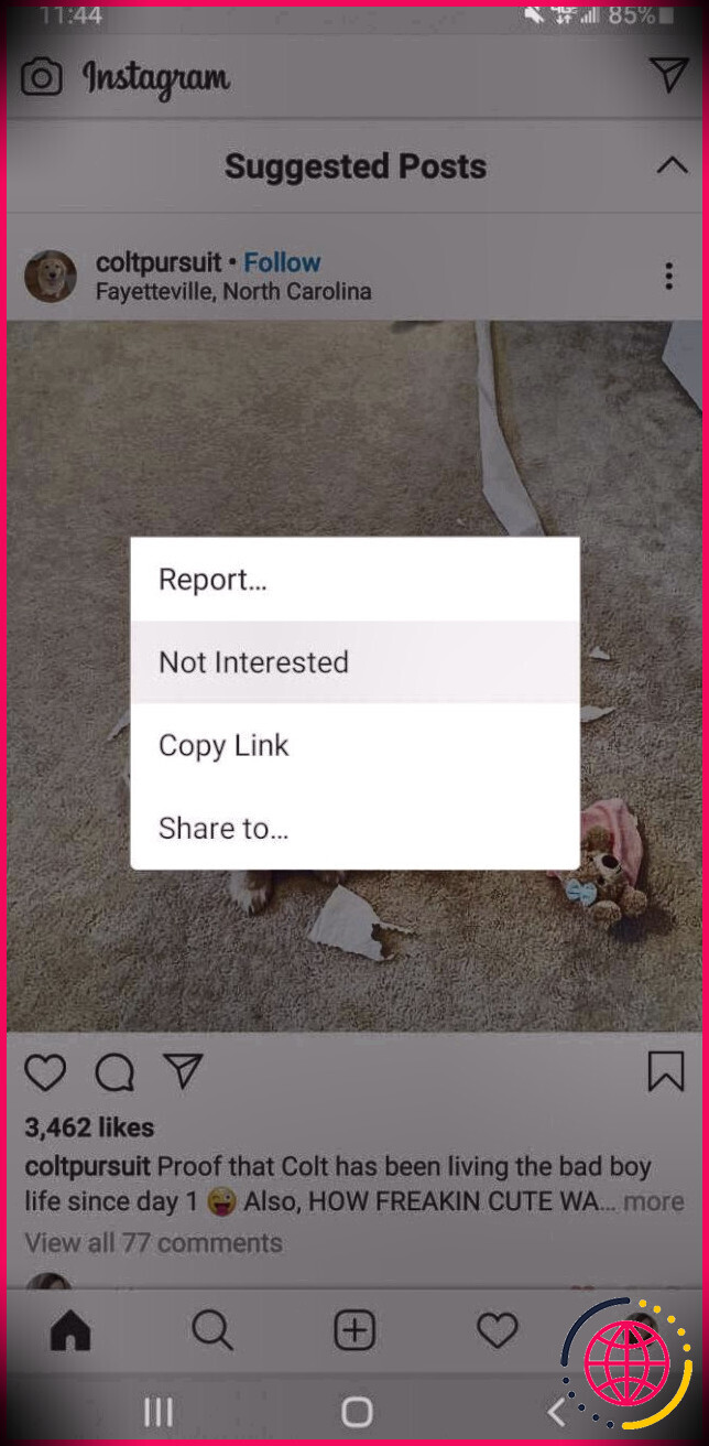 Messages suggérés par Instagram non intéressés