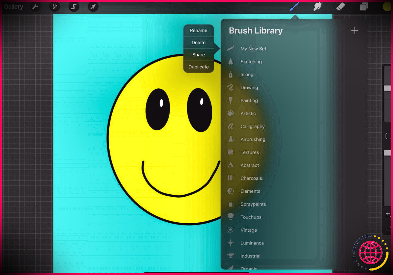 Capture d'écran montrant comment supprimer un ensemble dans la bibliothèque de pinceaux Procreate pour iPad 