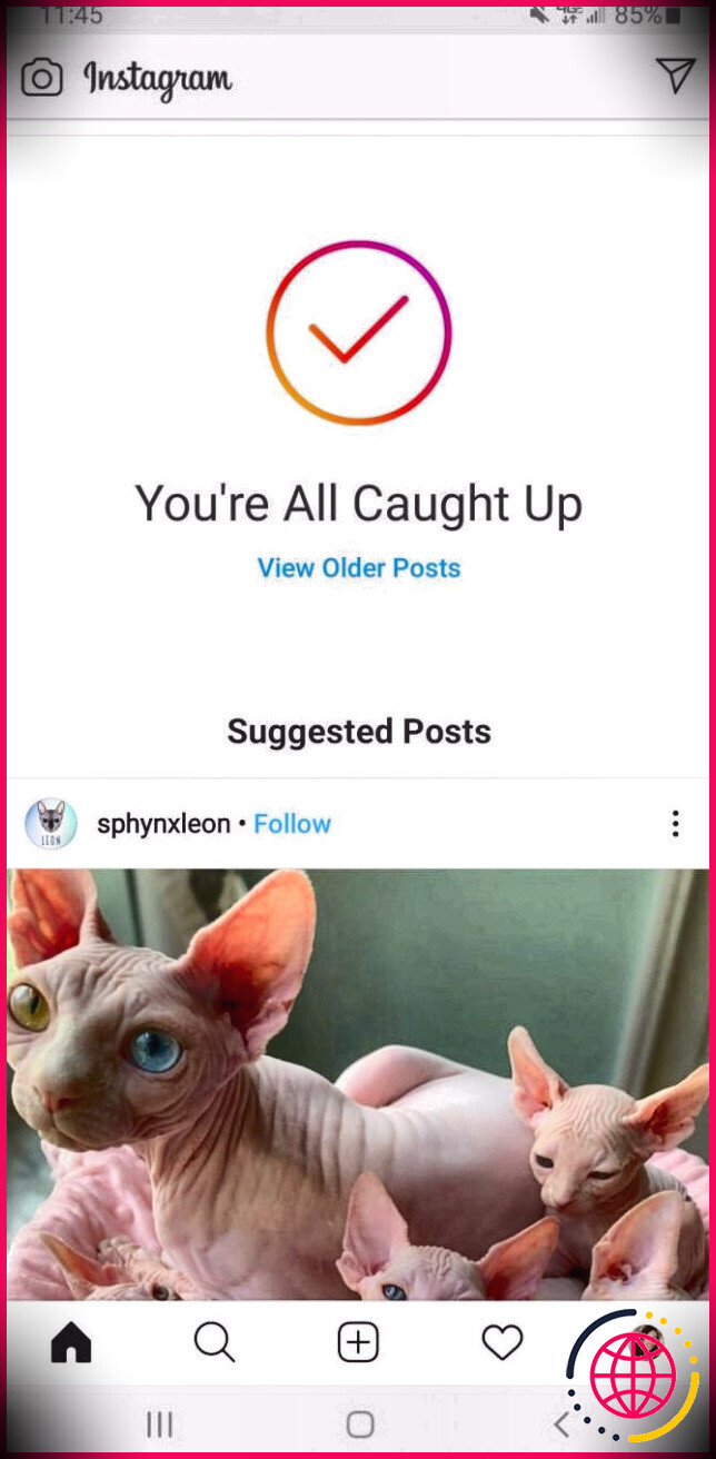 Flux de messages suggérés sur Instagram