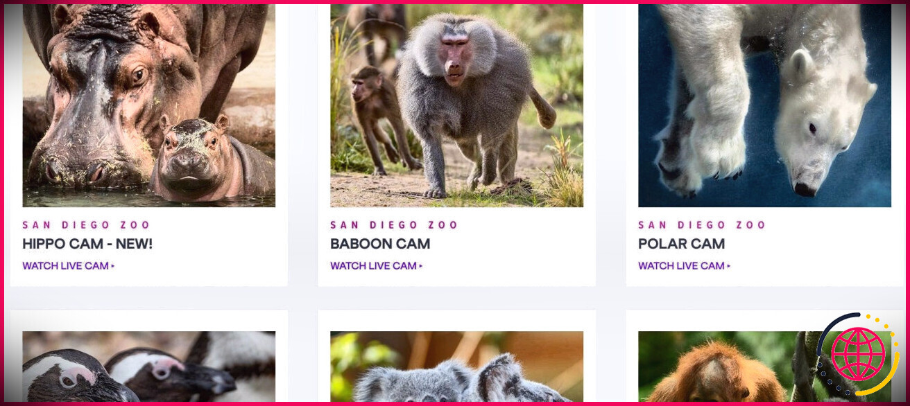 Capture d'écran du site Web du zoo de San Diego