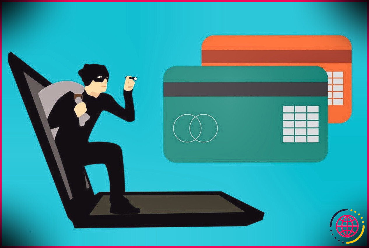 Cybercriminel volant les détails de la carte de crédit