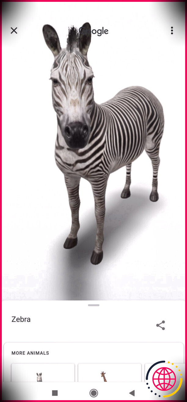 Google animaux 3D zèbre