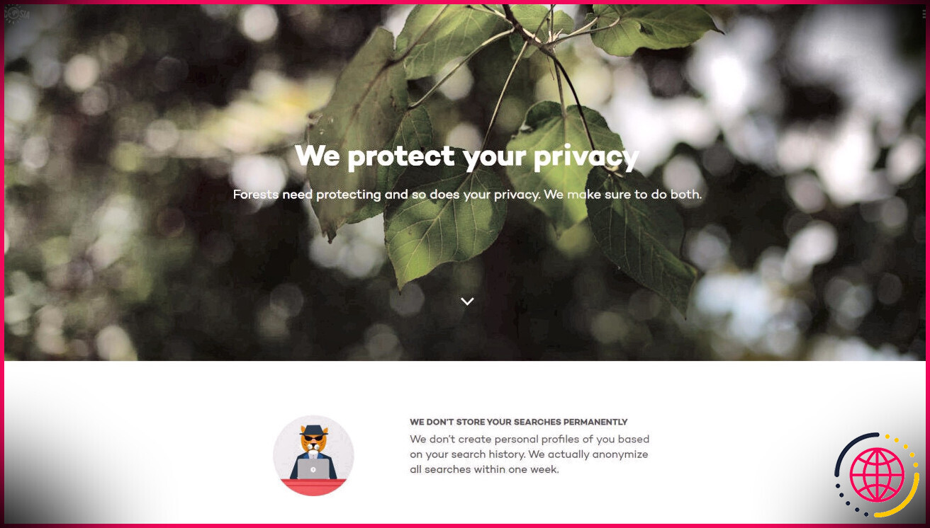 Confidentialité du navigateur Ecosia