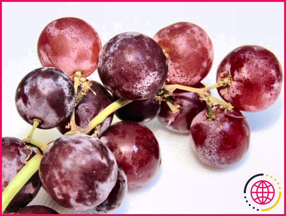 Combien de calories y a-t-il dans 100 grammes de raisins rouges ?
