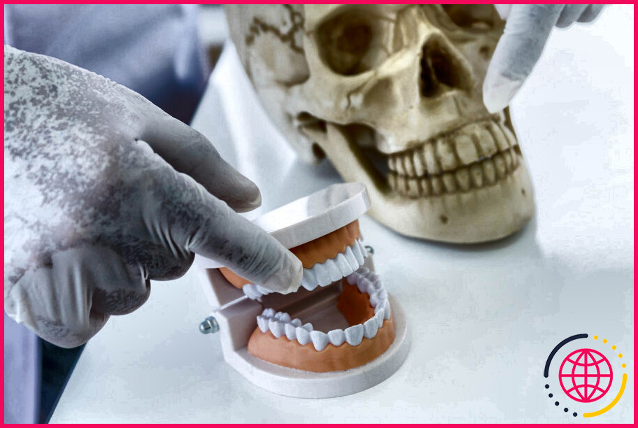 Comment devient-on odontologiste médico-légal ?
