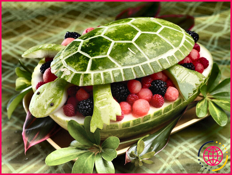 Comment faire un bol de pastèque aux fruits de la tortue ?
