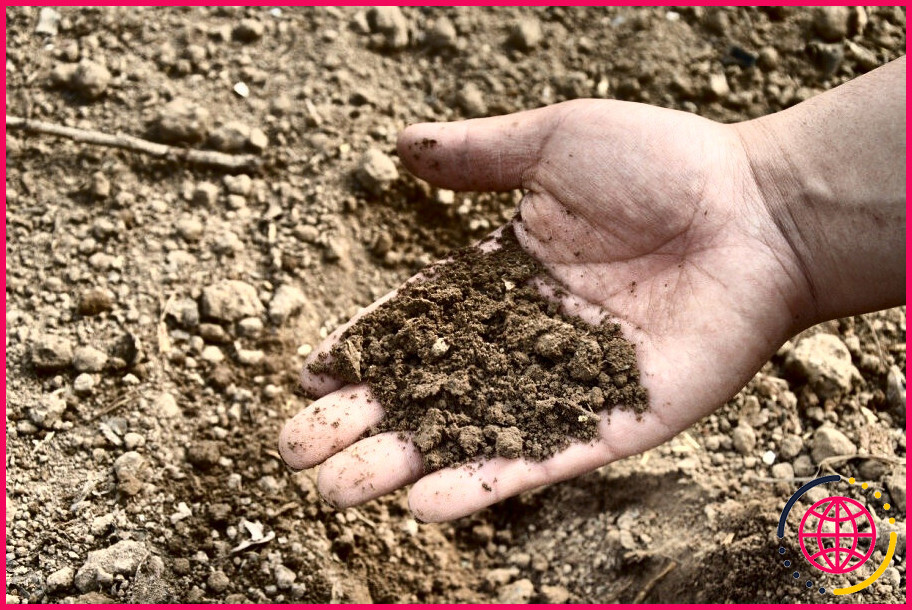 Comment le sable affecte-t-il le ph du sol ?
