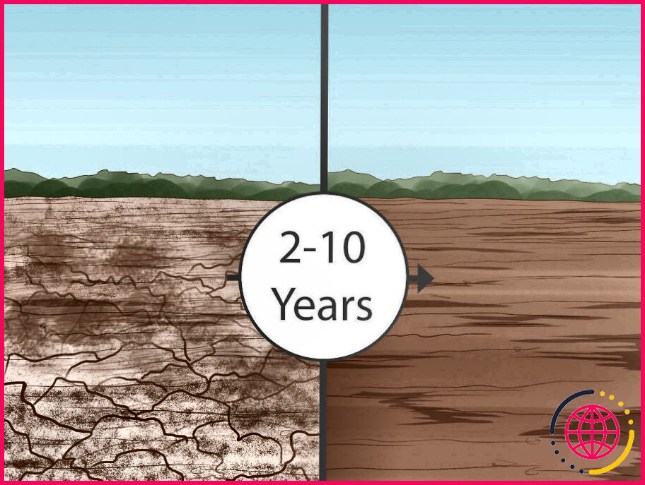 Comment prévenir la salinité des sols ?

