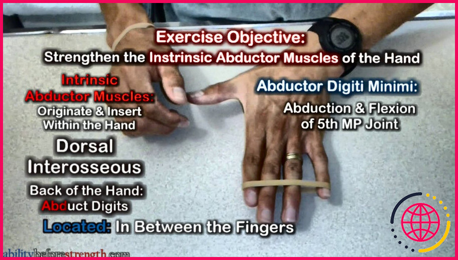 Comment renforcer les muscles intrinsèques de la main ?
