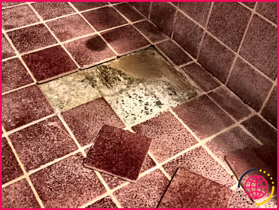 Comment réparer un sol de douche en carrelage lâche ?