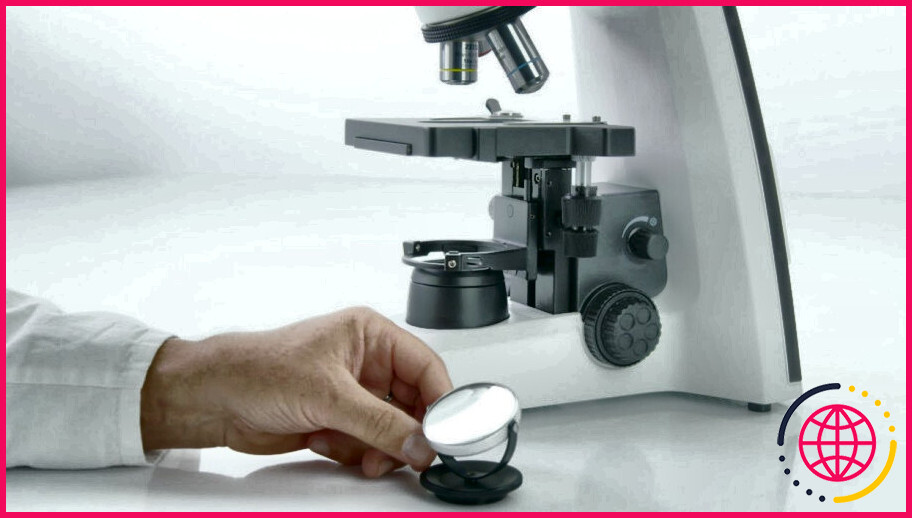 Comment utilise-t-on un miroir de microscope ?
