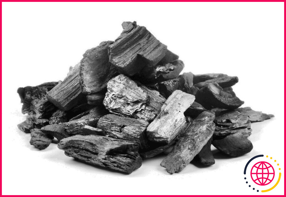 Le charbon de bois ordinaire absorbe-t-il les odeurs ?
