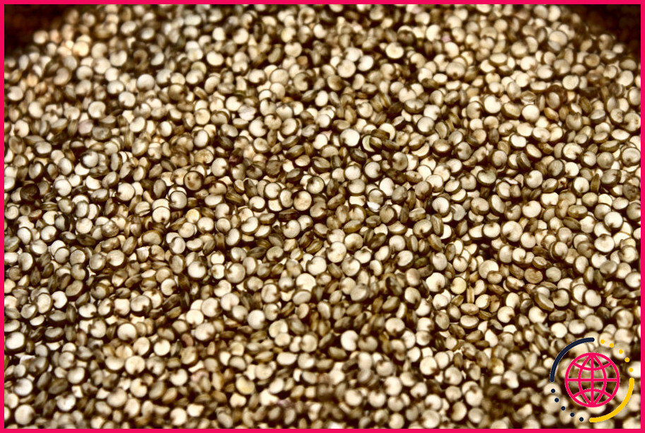 Le quinoa cru est-il toxique ?
