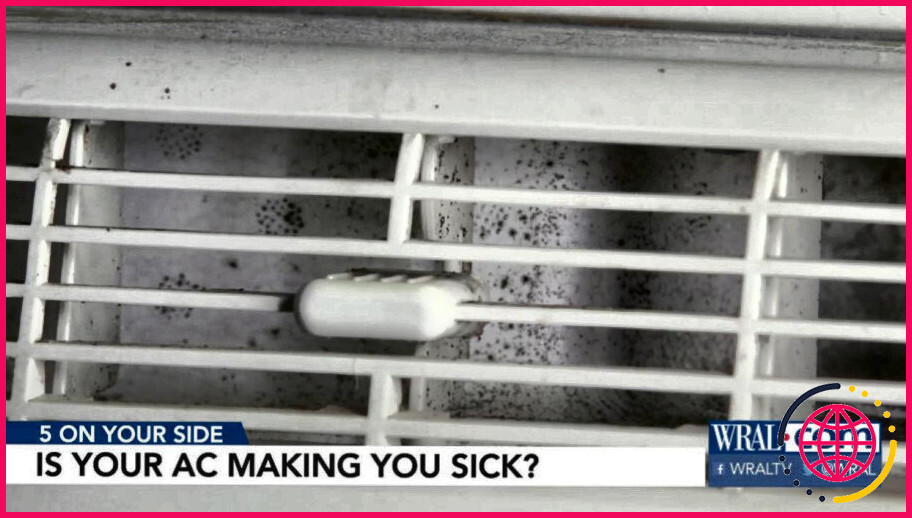 Les moisissures dans le climatiseur peuvent-elles vous rendre malade ?
