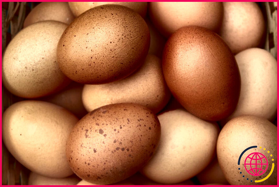 Les œufs contiennent-ils du magnésium et du potassium ?
