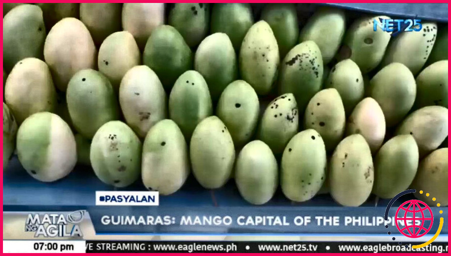 Où se trouve la capitale de la mangue aux philippines ?
