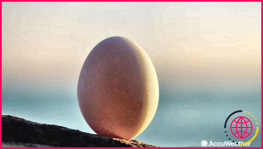Peut-on vraiment faire tenir un œuf debout pendant l'équinoxe ?
