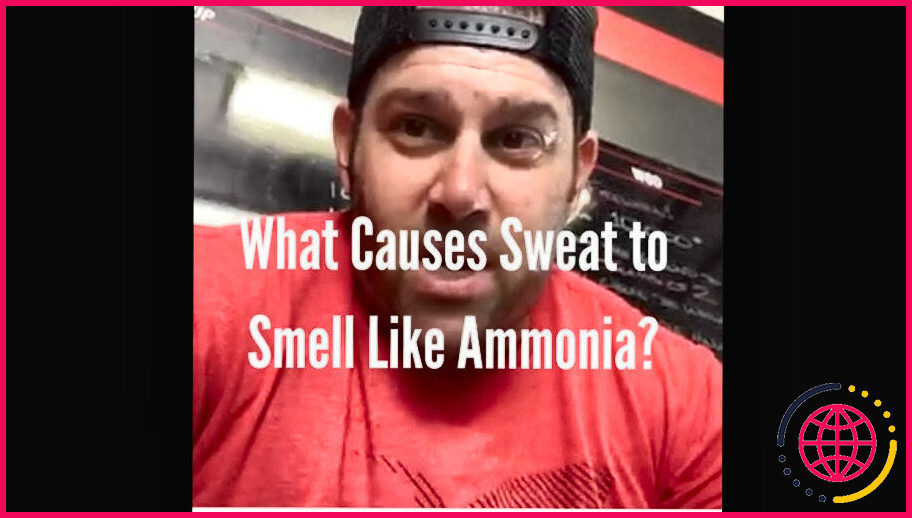 Pourquoi mon odeur corporelle sent-elle l'ammoniac ?
