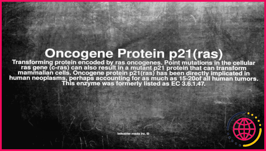 Que signifie la protéine ras ?
