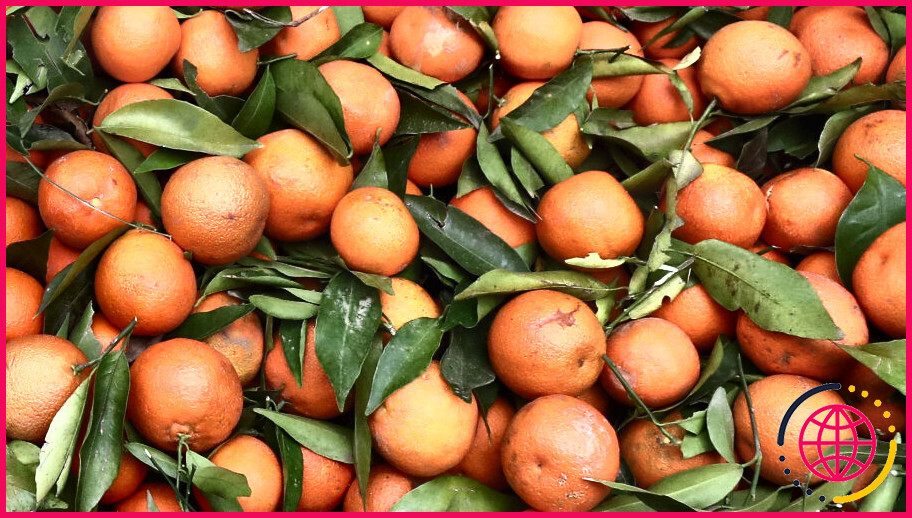 Quelle est la différence entre les satsumas, les mandarines et les clémentines ?
