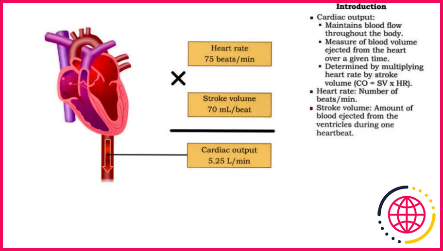 Quelle est la relation entre la fréquence cardiaque, le volume systolique et le débit cardiaque ?
