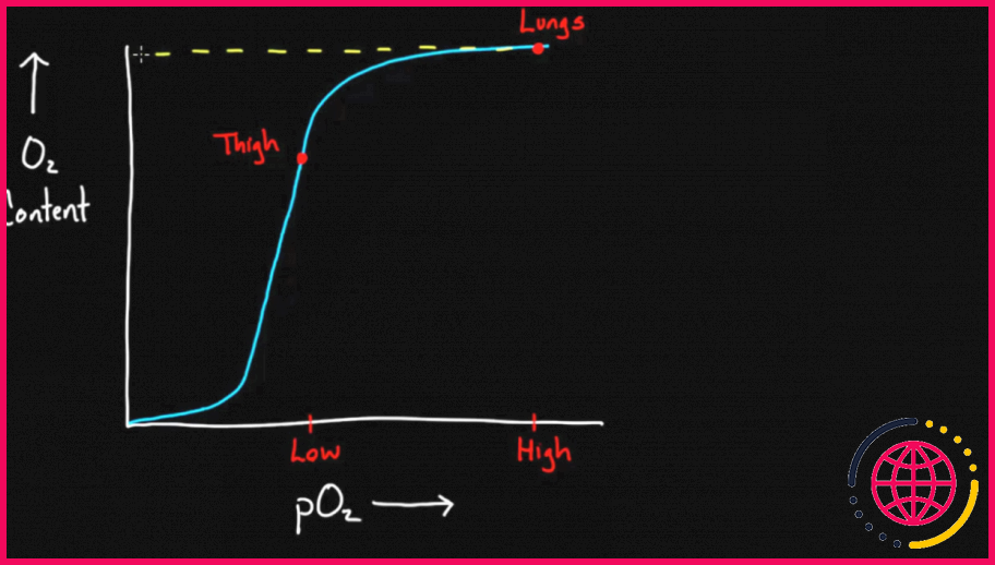 Qu'est-ce que l'effet bohr et l'effet haldane ?
