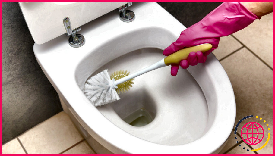 Qu'est-ce qui cause les moisissures dans la cuvette des toilettes ?
