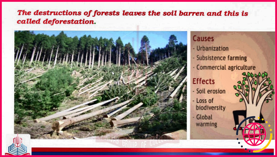 Qu'est-ce qu'on appelle la déforestation ?
