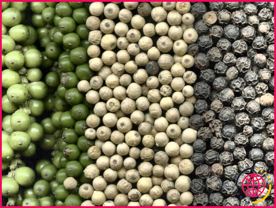 Comment assouplir les grains de poivre vert ?
