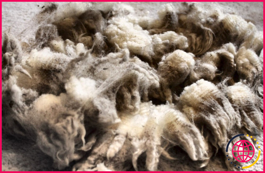 Comment blanchir la laine brute ?
