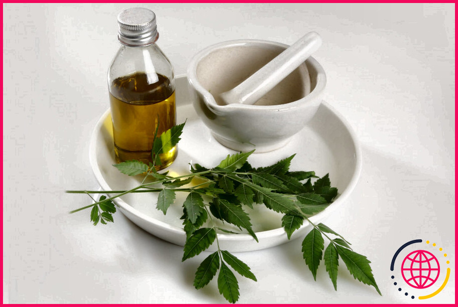 Comment neutraliser l'odeur de l'huile de neem ?
