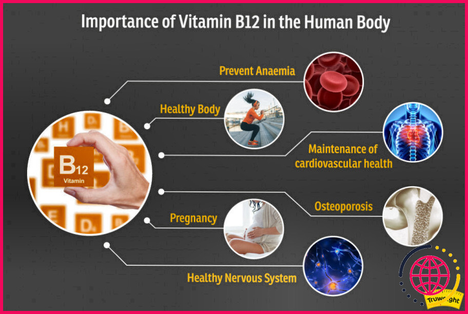Le corps peut-il stocker la vitamine b12 ?
