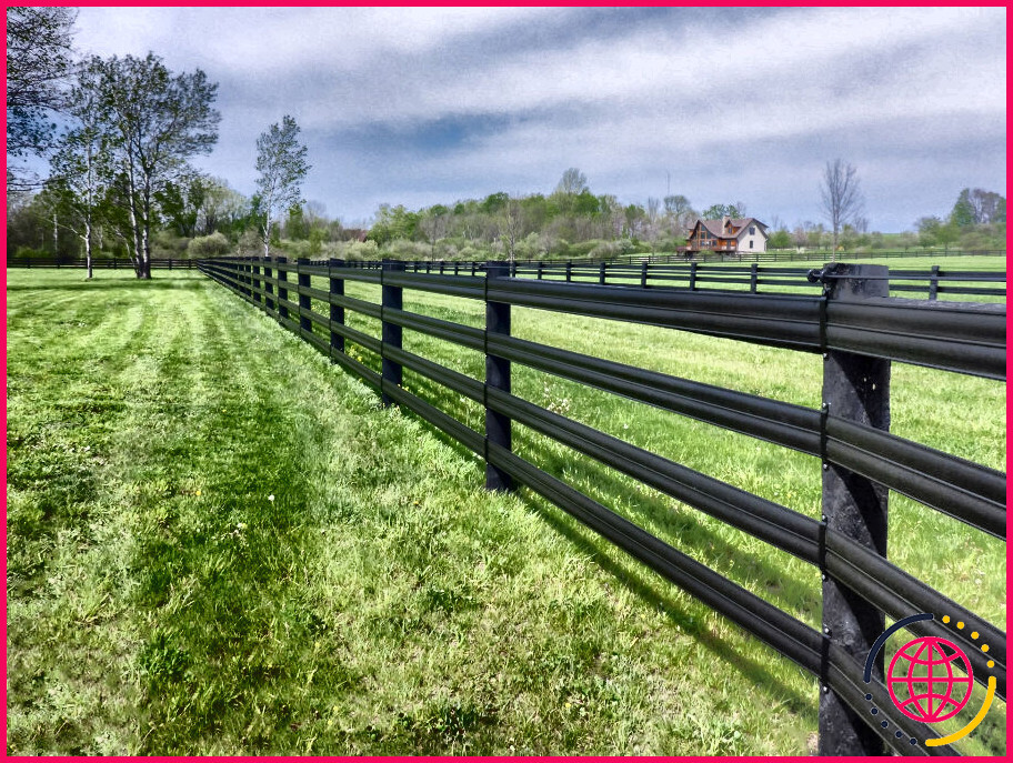 Les clôtures électriques sont-elles sûres pour les chevaux ?
