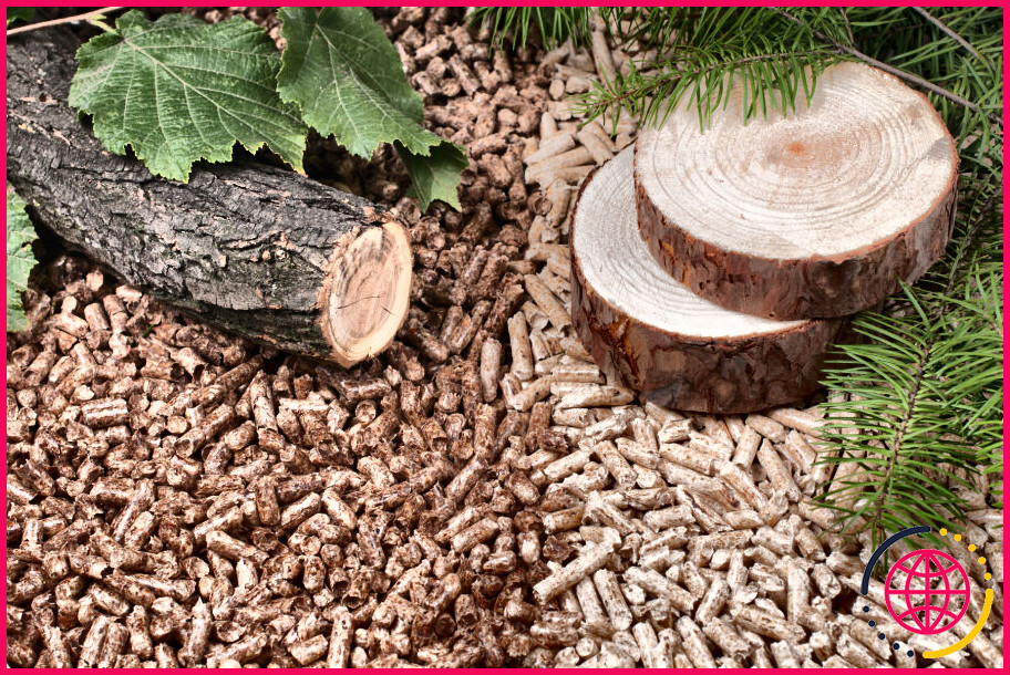 Les granulés de bois dur sont-ils meilleurs que ceux de bois tendre ?
