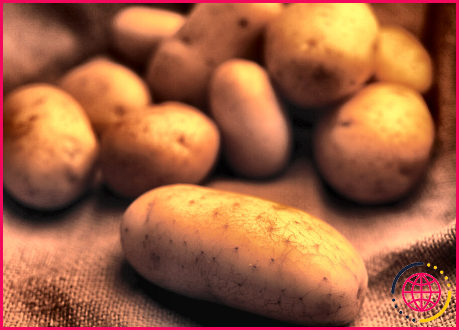 Les pommes de terre rouges ont-elles un faible indice glycémique ?
