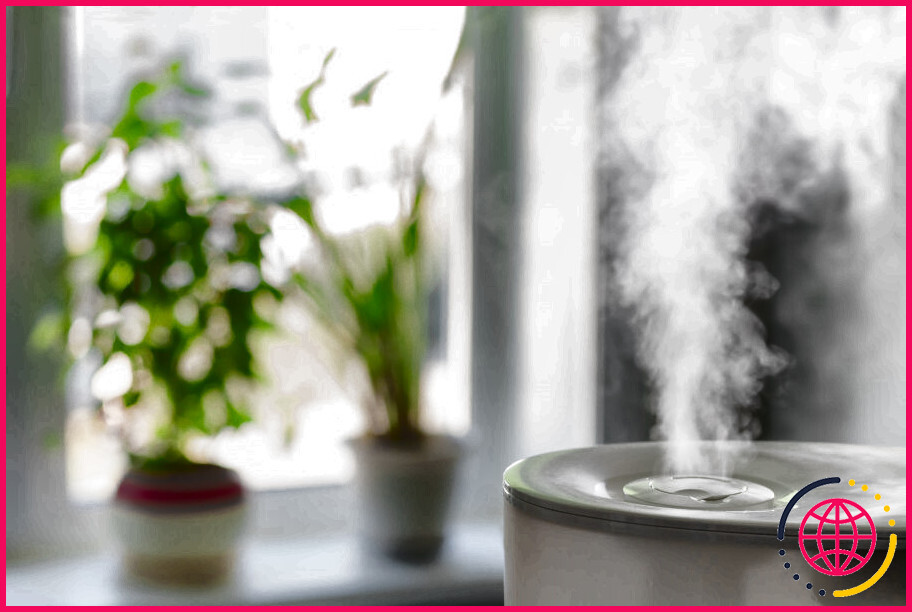 L'humidificateur est-il mauvais pour les poumons ?
